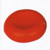m_p380.jpg