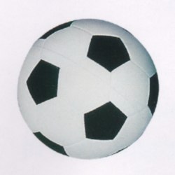 p01.jpg