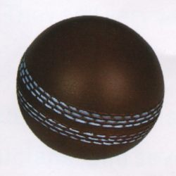 p11.jpg