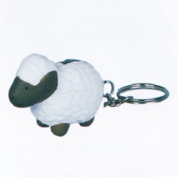 p251.jpg
