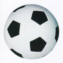 p312.jpg