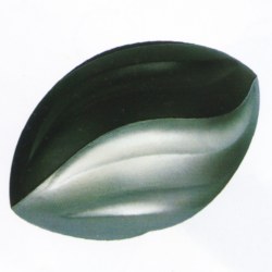 p324.jpg