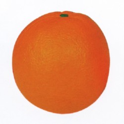 p417.jpg