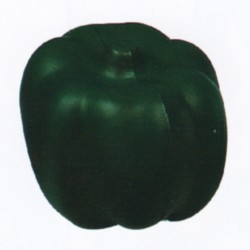 p435.jpg