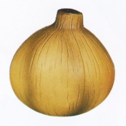 p440.jpg