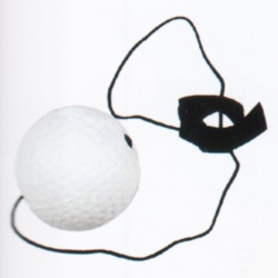 p50.jpg