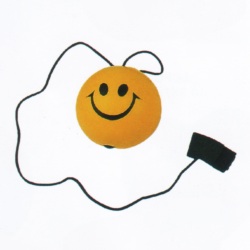 p53.jpg