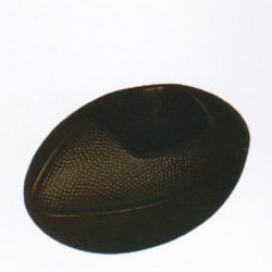 p74.jpg