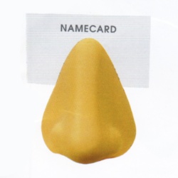 p81.jpg